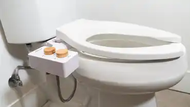 Toilet with a bidet attachment