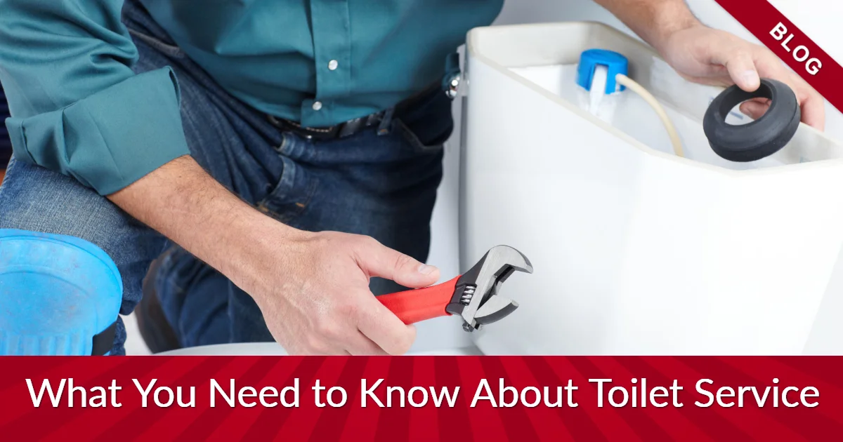 What You Need to Know About Toilet Service