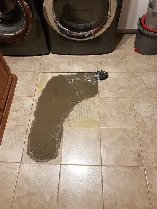 Sewer backup affecting drain in a Toronto home’s basement