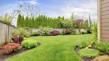 Residential backyard