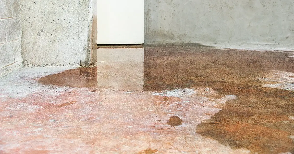 Water pooling across the floor of a basement flooding in Mississauga, ON.