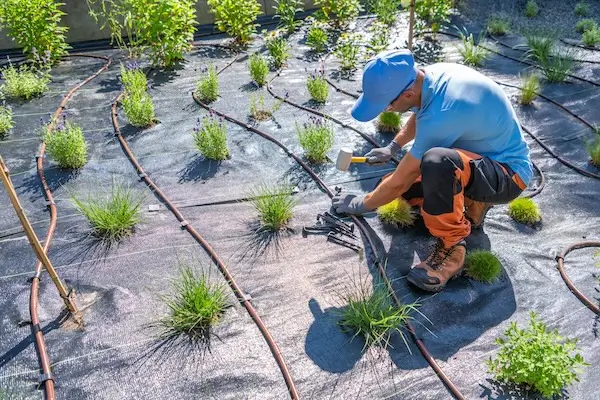 Garden and lawn irrigation systems expert tending to an irrigation drip system.